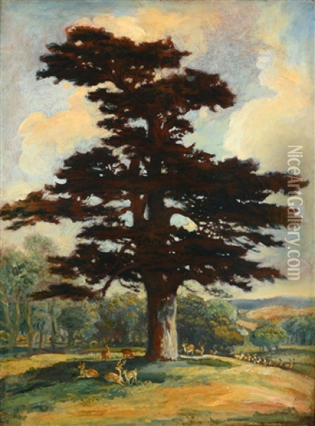 Herd Of Deer Resting Beneath The Shade Of A Cedar Tree On A Rise At Needwood Park, Staffordshire Oil Painting - James Ward