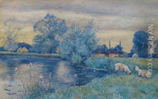 Sheep Grazing At The Rivers Edge Oil Painting - John Macintosh Macintosh