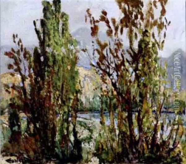 Mountain Lake (cuyamaca) Oil Painting - Charles Reiffel