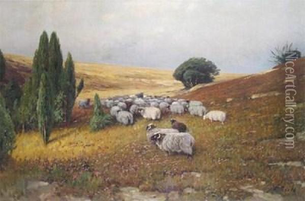Sheep In A Moorland Landscape Oil Painting - Greben