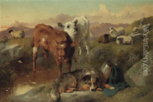 Calves And Black Face Ewes With A Sheepdog Oil Painting - George William Horlor