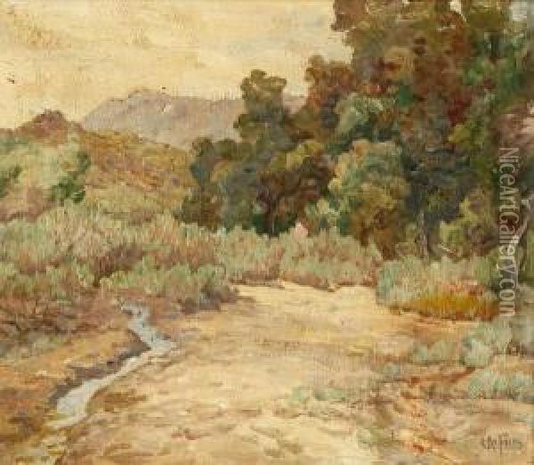 Irrigating Ditch On Cuipipua (sic) Indian Reservation Oil Painting - Charles Arthur Fries