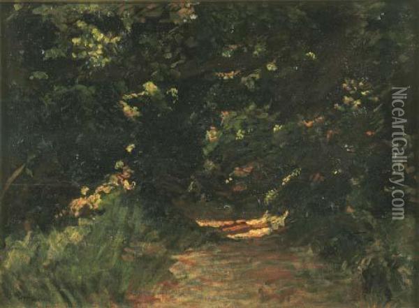 Ultimo Raggio Di Sole Nel Bosco (1913 Circa) Oil Painting - Mario Puccini