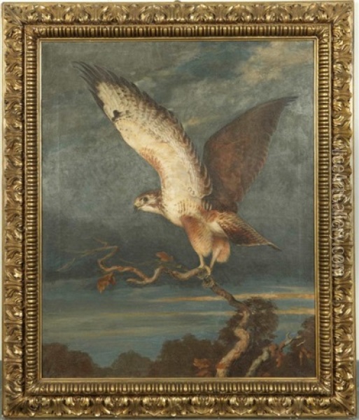 Un Faucon Oil Painting - David de Coninck