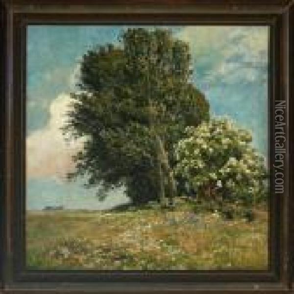 Landscape With Field Flowers, Trees And Shrubs Oil Painting - Viggo Christian Frederick Pedersen