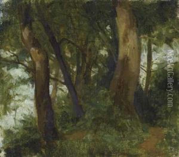 Forest Interior. Oil Painting - Albert Anker