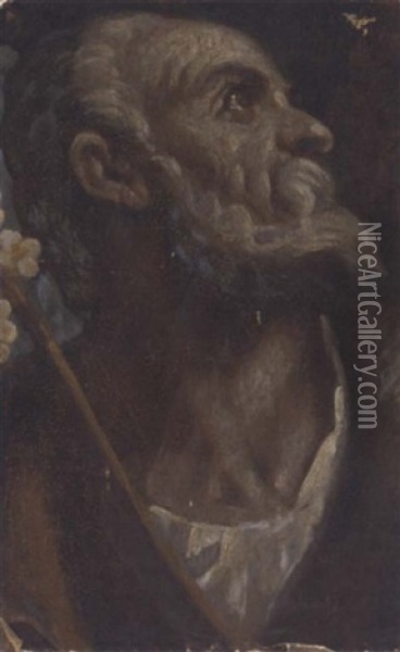 The Head Of Saint Joseph Oil Painting - Jacopo Palma il Giovane