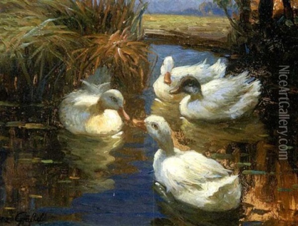 Vier Enten Im Schilf Oil Painting - Franz Graessel
