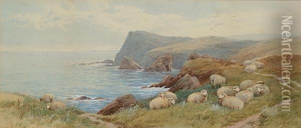 Sheep On A Coastline Oil Painting - Thomas, Tom Rowden