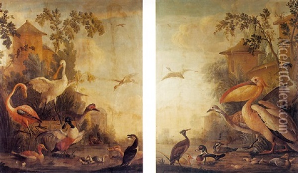 Oiseaux Decoratifs Dans Un Parc Oil Painting - Aert Schouman