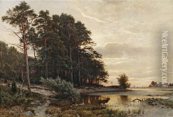 Abendstimmung An Einem See Am Waldrand Oil Painting - Paul Koken