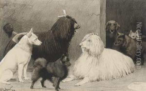 Crufts Oil Painting - Cecil Charles Aldin