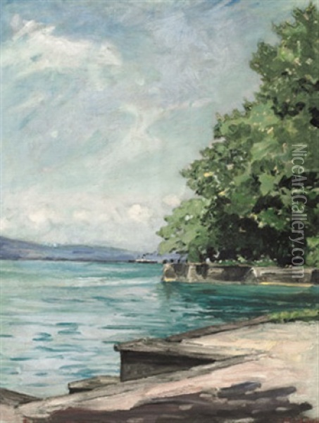 Blick Vom Lindenhofpark Auf Den Bodensee Mit Schweizer Ufer. Vorbeiziehender Raddampfer Oil Painting - Leopold Schoenchen