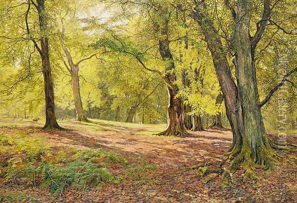 In the Beechwoods Oil Painting - William Samuel Jay
