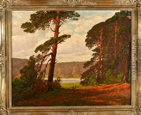 Markische Landschaft Mit See Oil Painting - Rudolf Hellgrewe