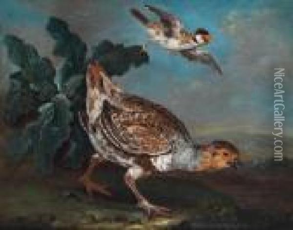 Ein Rebhuhn Mit Einem Stieglitz Oil Painting - Ferdinand Phillip de Hamilton