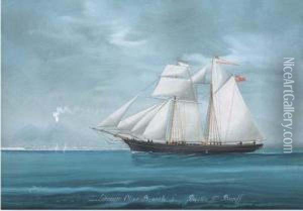 The Topsail Schooner Olive Branch In The Bay Of Naples; And Atsea Oil Painting - Luigi Roberto