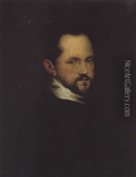Portrait Of A Gentleman, Wearing Black Oil Painting - Bartolomeo Passarotti