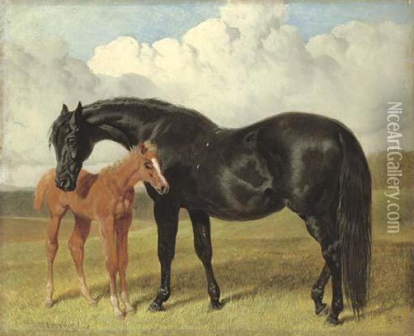 A Mare And Foal In A Landscape Oil Painting - John Frederick Herring Snr