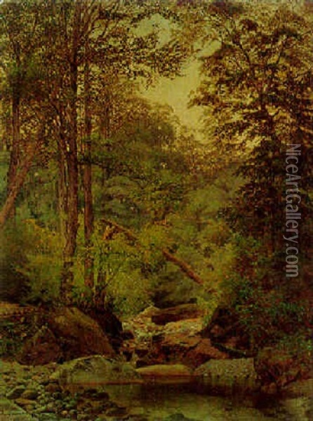 Woodland Interior Oil Painting - Alexander Lawrie