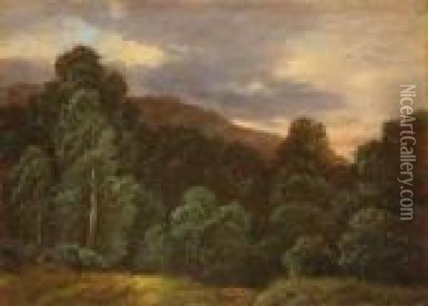 Laubwald. Landschaft Mit Vogeln Und Baumen Oil Painting - Carl Gustav Carus