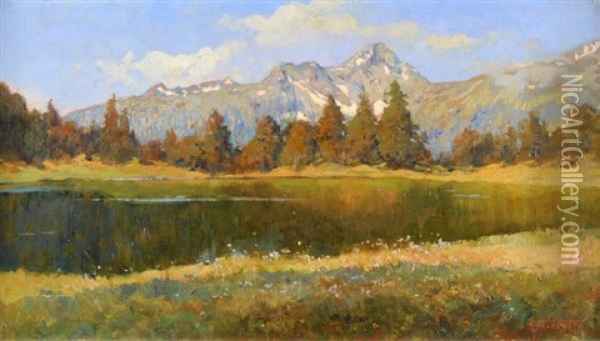 Bergsee Oil Painting - Gioacchino Galbusera
