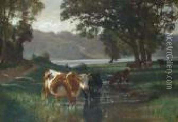 Cattle Watering Oil Painting - Auguste Bonheur