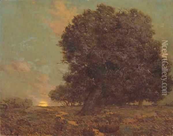 A Canyon Oak Oil Painting - Granville Redmond