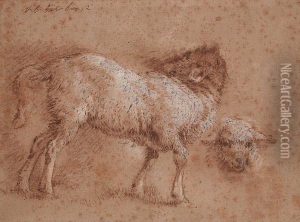 Study Of A Sheep And A Sheep's Head Oil Painting - Jean-Baptiste Huet I