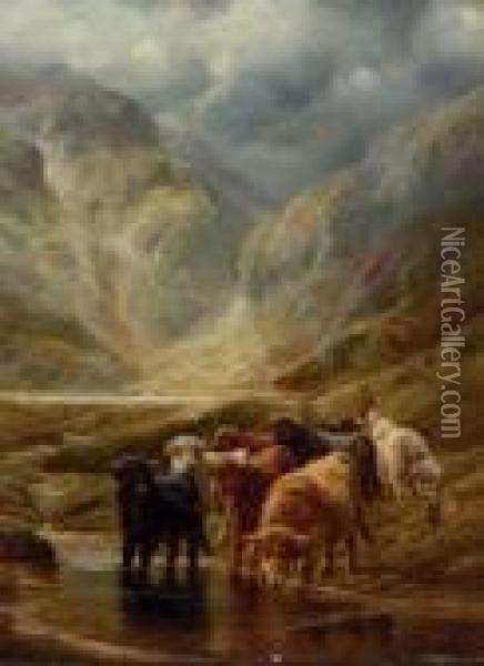 Highland Cattle; And Highland Sheep Oil Painting - Robert Watson