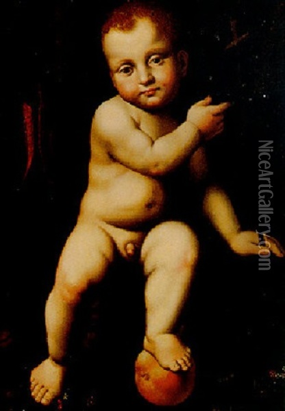 The Infant Saint John Oil Painting - Bernardino Luini