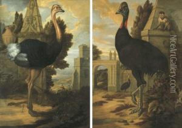 An Ostrich; And A Cassowary Oil Painting - Francis Barlow