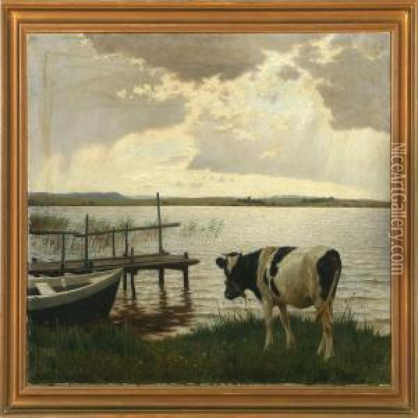 Grazing Cow At A Fiord Oil Painting - Povl Steffensen