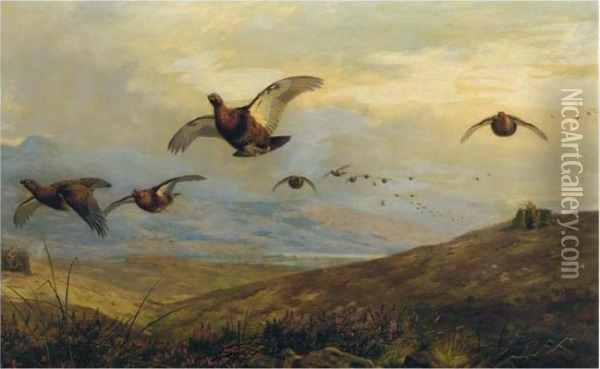 On The Moors Oil Painting - Archibald Thorburn