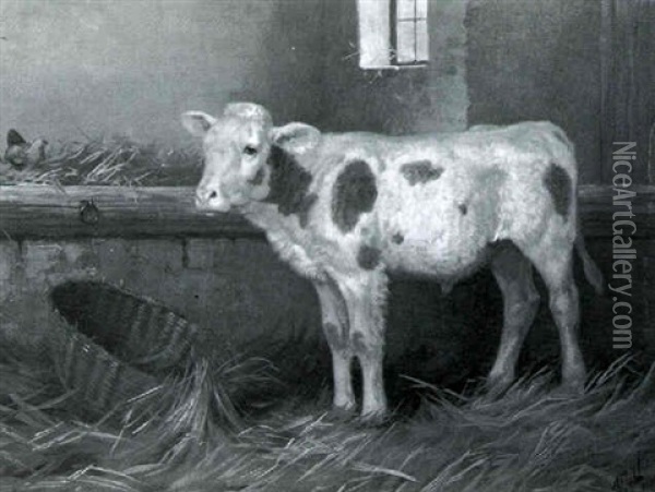 Calf In A Barn Oil Painting - Walter Hunt