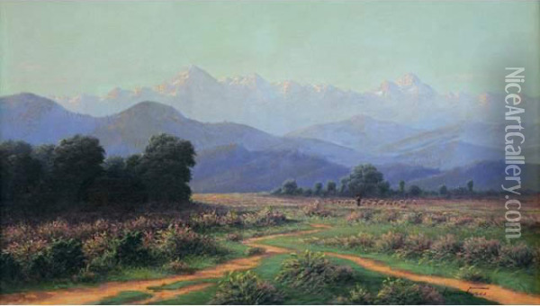 Le Pic Du Midi De Bigorrevu De La Plaine Oil Painting - Lucien Alphonse Gros