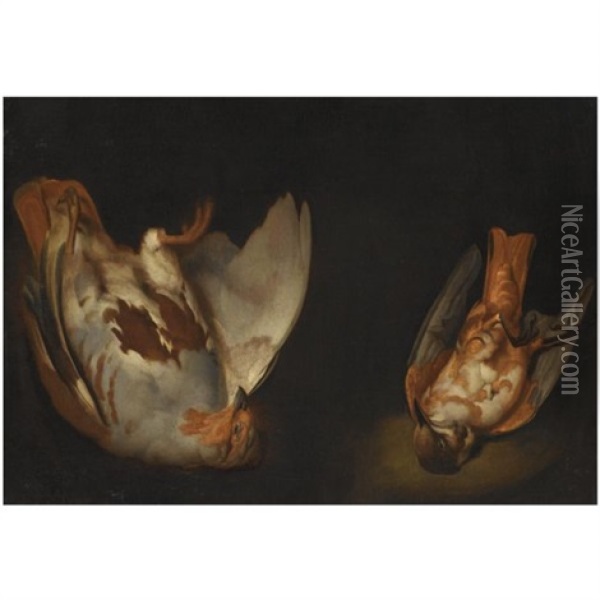 A Still Life With Two Dead Birds Oil Painting - Alexander Adriaenssen the Elder