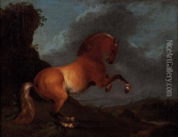 Steigendes Pferd In Landschaft Oil Painting - Wenzel Ignaz Prasch