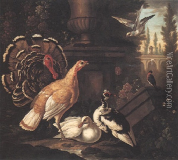 Exotic Fowl In A Landscape With Classical Buildings Beyond Oil Painting - Pieter Casteels III