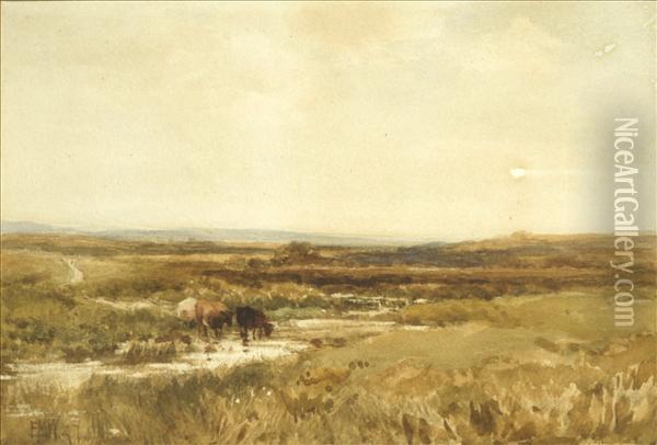 A Cornish Moor Oil Painting - Edmund Morison Wimperis