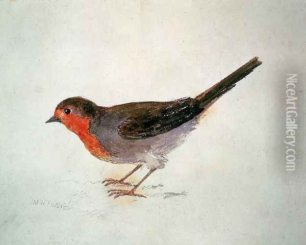 Robin, from The Farnley Book of Birds, c.1816 Oil Painting - Joseph Mallord William Turner