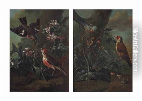 A Forest Floor With Two Finches In A Bed Of Flowers; And A Forest Floor With A Finch And A Small Bird With A Frog Oil Painting - Philipp Ferdinand de Hamilton