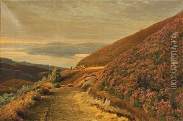 Hilly Landscape At The Lakes Of Silkeborg With Flowering Heather Oil Painting - Andreas Fritz