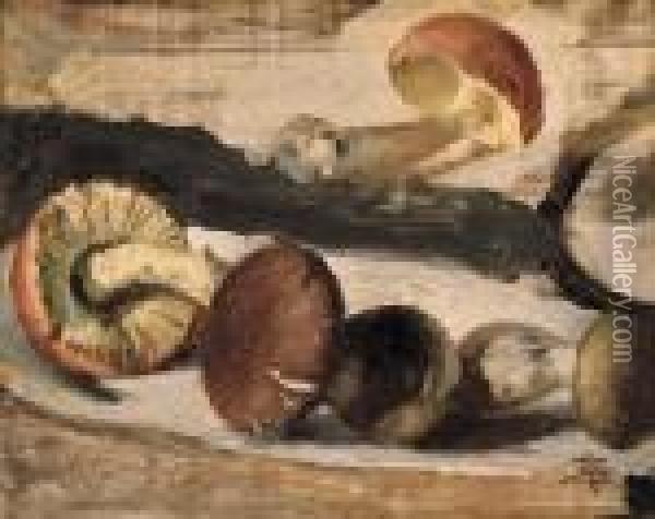 Stilleben Mit Pilzen Oil Painting - Giovanni Segantini