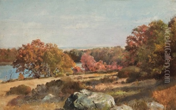 Thyme Field & Cedar Swamp, Matunuck, Ri Oil Painting - William Trost Richards