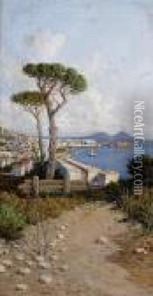 A View Of Naples From Across The Bay Oil Painting - Giuseppe Carelli