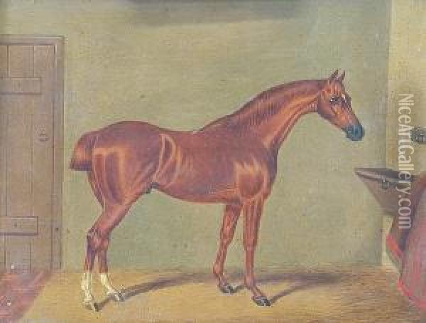Horse Portraits Oil Painting - Benjamin Cam Norton