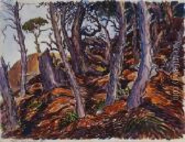 Thicket - Top Of Mountain Oil Painting - Stanley Huber Wood