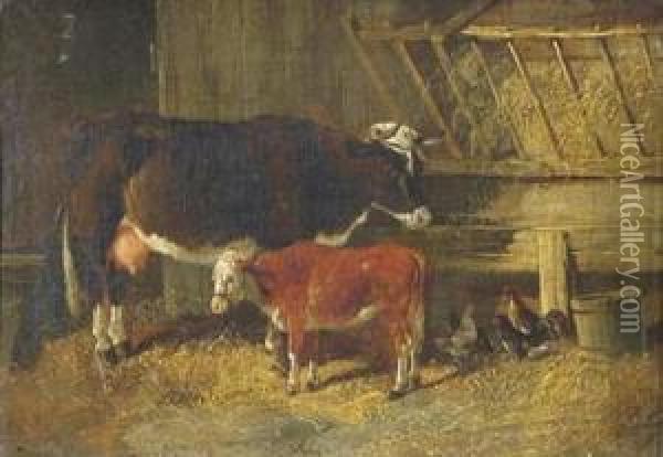A Cow And Calf In A Barn Oil Painting - Henry Woollett