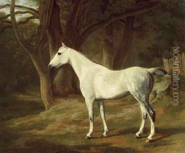 A grey hunter in a wooded landscape Oil Painting - Jacques Laurent Agasse